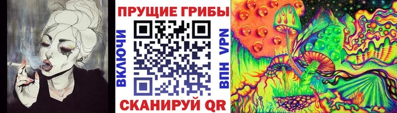 Галлюциногенные грибы MAGIC MUSHROOMS  Купить  Кызыл 